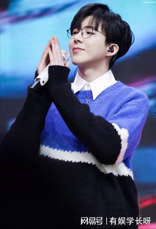 网红刘宇宁资料,从网红到明星的蜕变之路