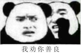 狗粮哥背景,揭秘宠物食品行业的传奇人物与创业故事