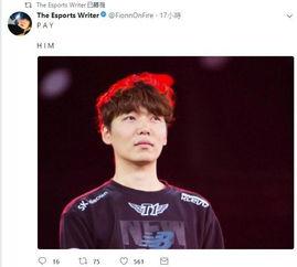 Marin照片,捕捉光影之美，展现自然魅力