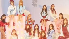 表情包乌龙新闻,表情包背后的真相揭秘